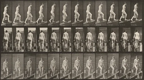 Plate Number 81. Ascending an incline with a bucket of water in each hand by Eadweard Muybridge, photograph, 1887