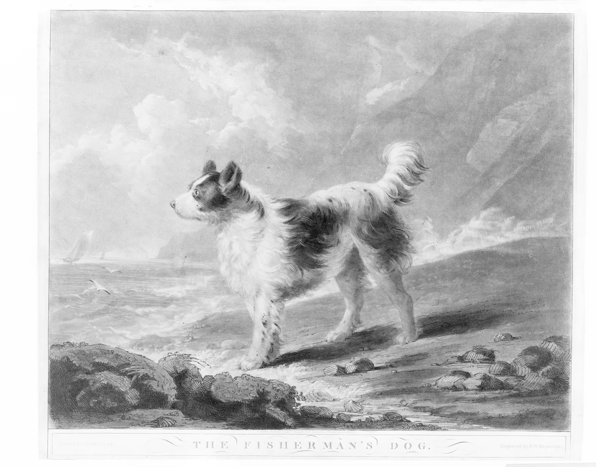 The Fisherman's Dog by Samuel Reynolds, print, 1800