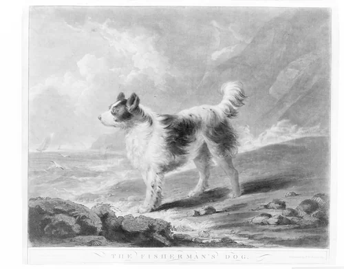 The Fisherman's Dog by Samuel Reynolds, print, 1800
