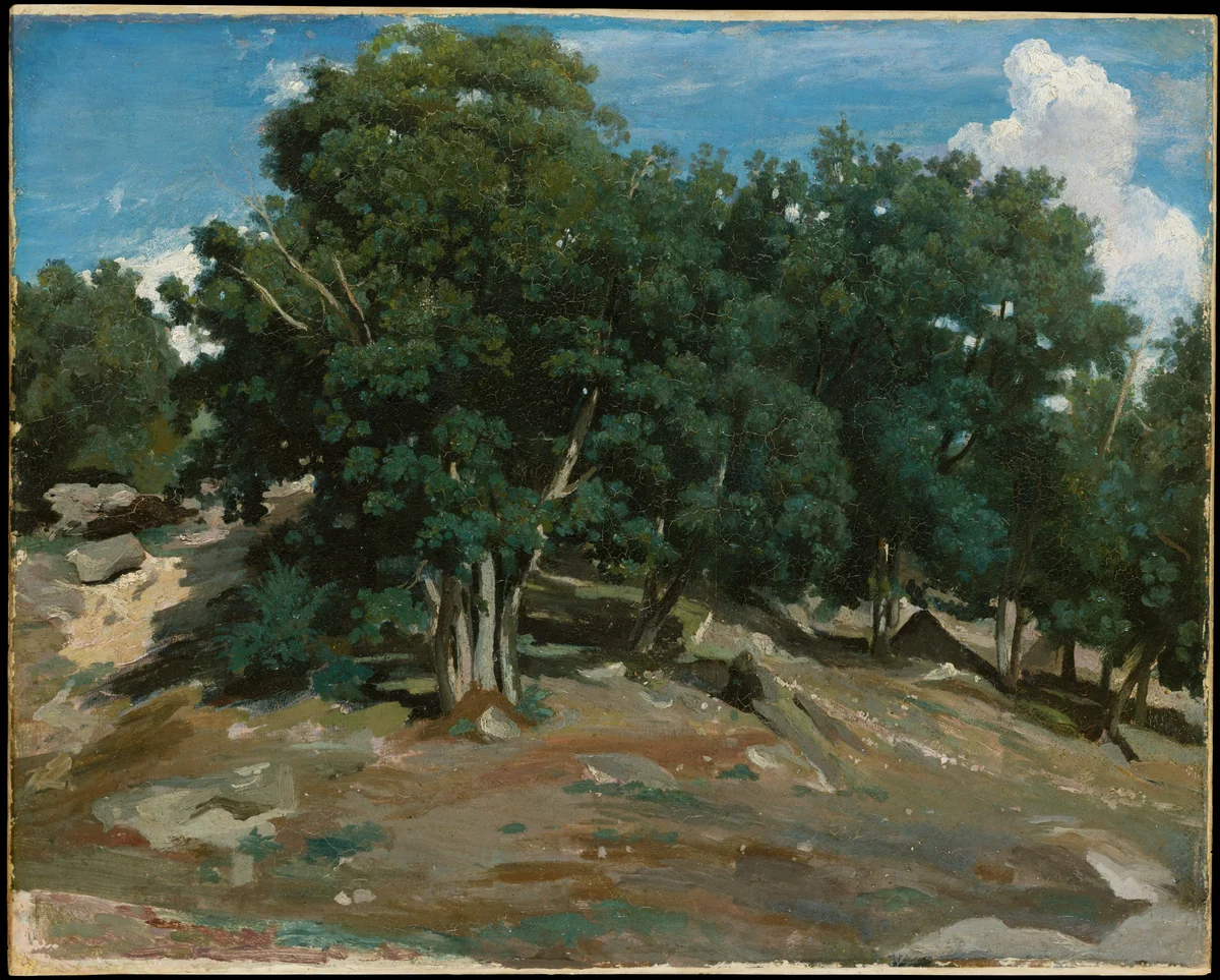 Fontainebleau: Oak Trees at Bas-Bréau by Camille Corot, drawing, 1832-1833