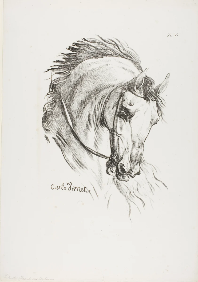 Detail of Horse's Head, Enlarged to Triple Size, Hussard, Royal Guard, No. 6 by Carle Vernet, print, 1813-1823
