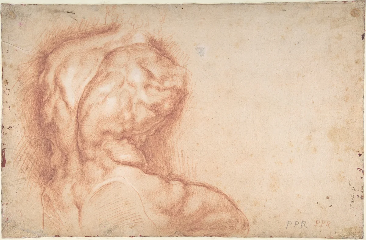 The Virgin Adored by Saints (recto); Study of the Torso Belvedere (verso) by Peter Paul Rubens, drawing, 1577-1640