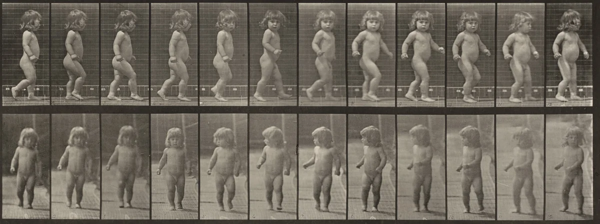 Plate Number 468. Child walking by Eadweard Muybridge, photograph, 1887