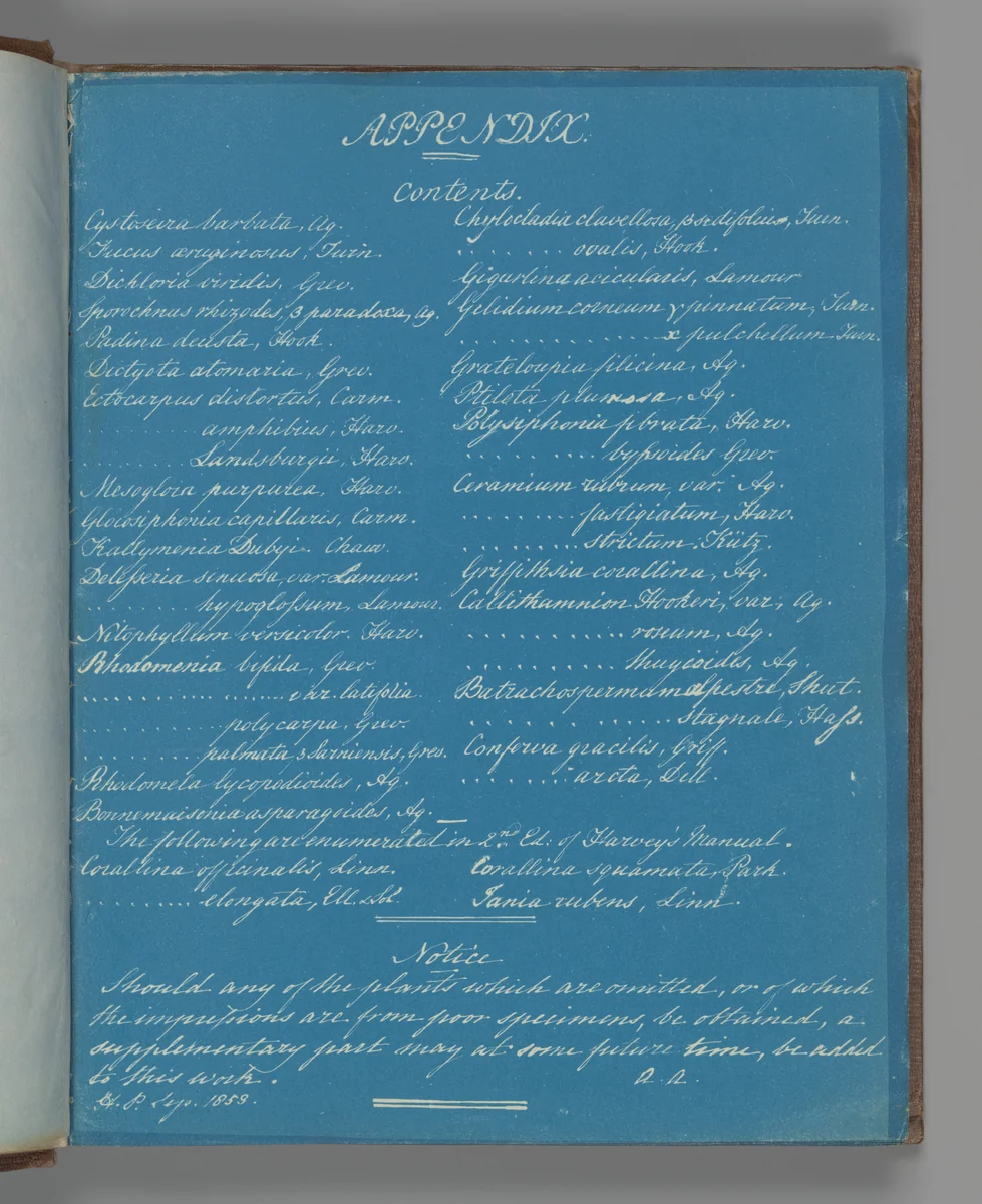 Appendix by Anna Atkins, photograph, 1851-1855