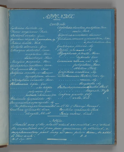 Appendix by Anna Atkins, photograph, 1851-1855