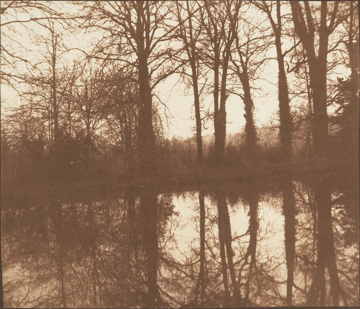 [Winter Trees, Reflected in a Pond] by William Henry Fox Talbot, photograph, 1841-1842