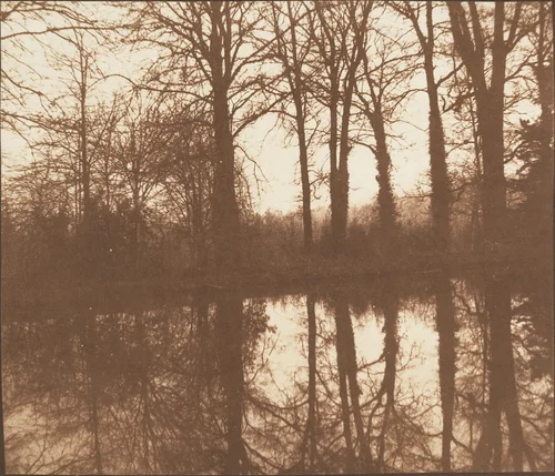 [Winter Trees, Reflected in a Pond] by William Henry Fox Talbot, photograph, 1841-1842