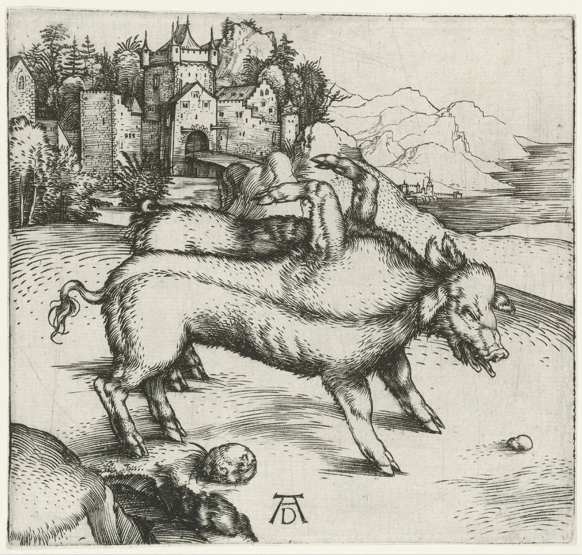 Vergroeide zwijnen by Unknown, print, 1496