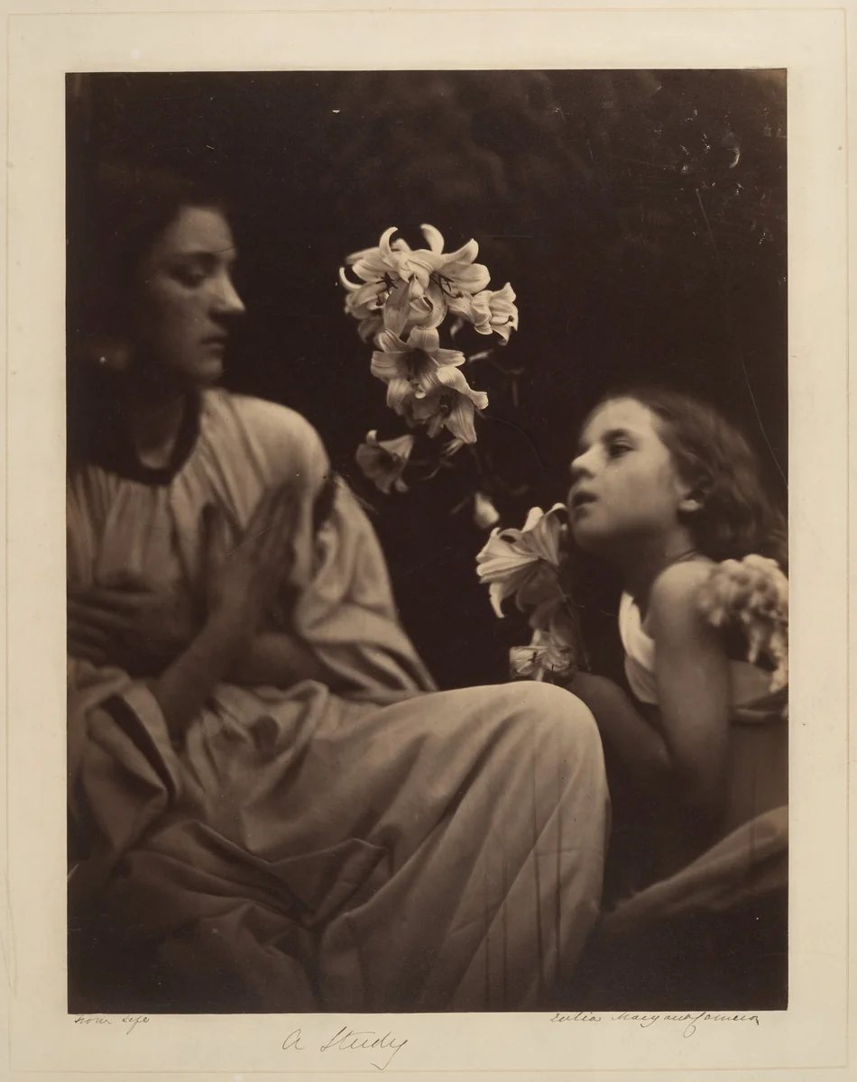 A Study by Julia Margaret Cameron, photograph, 1865-1866