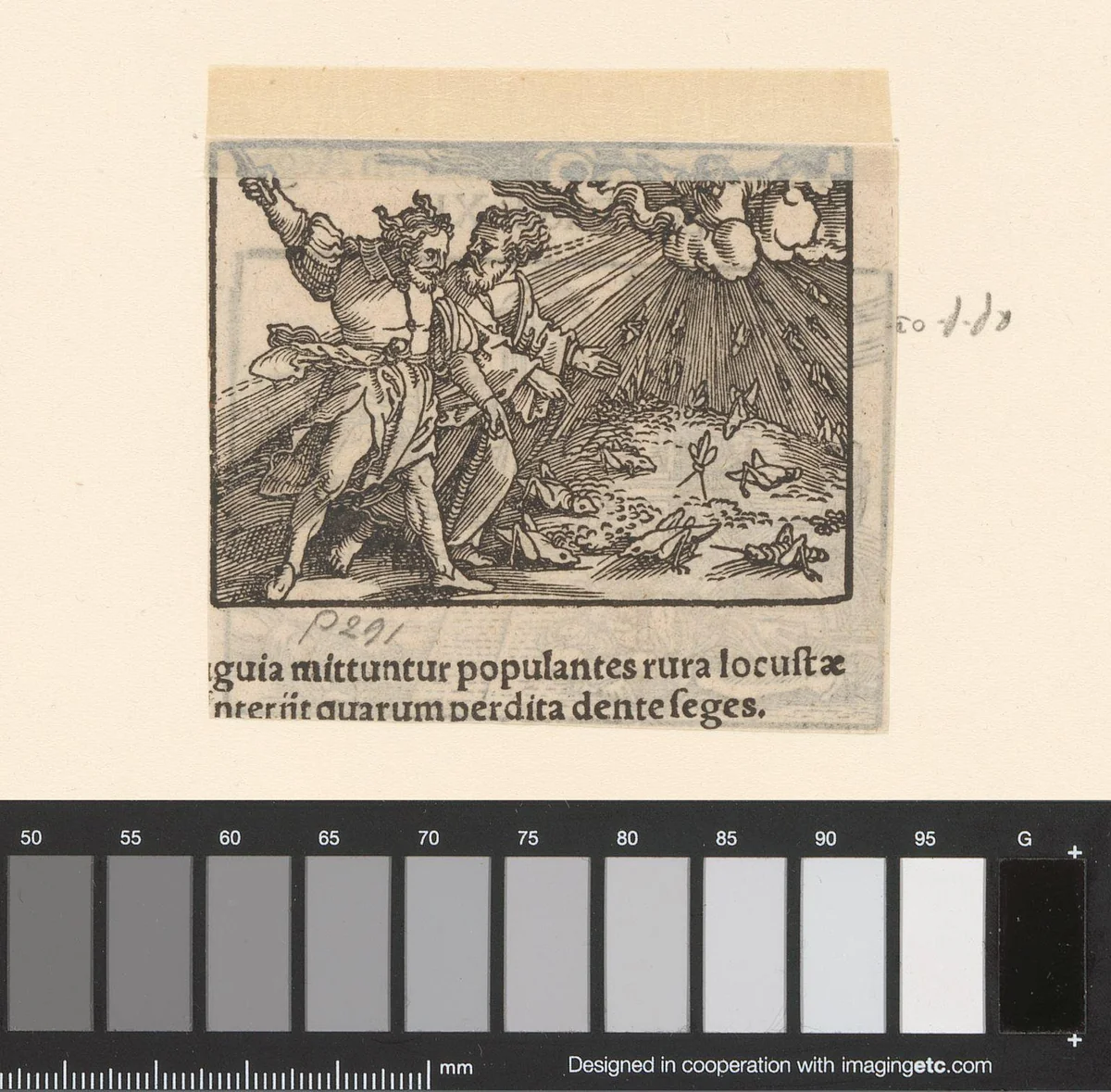 Achtste plaag by anonymous, print, 1530-1533