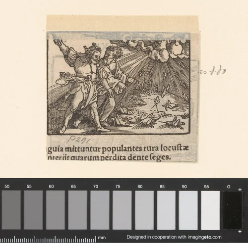Achtste plaag by anonymous, print, 1530-1533