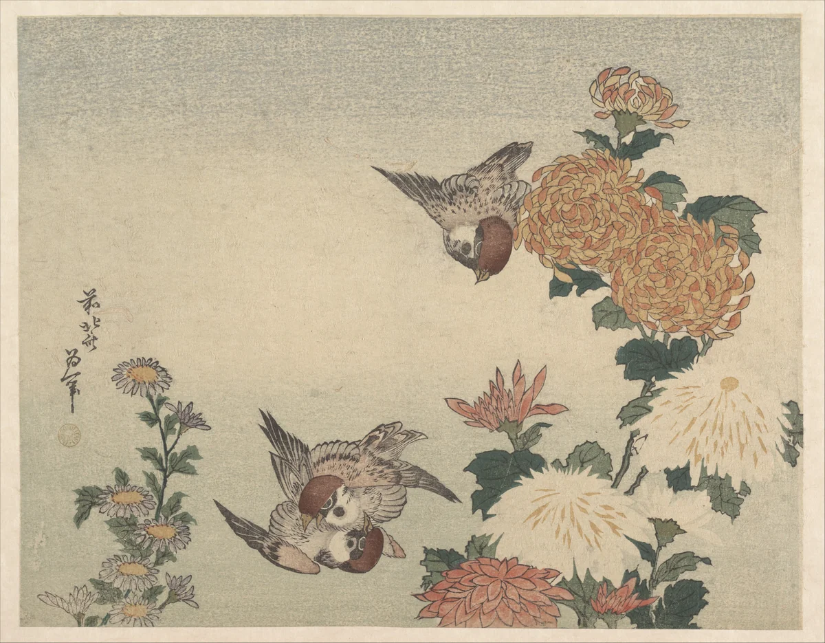 Sparrows and Chrysanthemums by Katsushika Hokusai (葛飾 北斎), print, 1815-1835