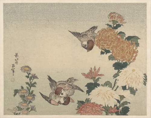 Sparrows and Chrysanthemums by Katsushika Hokusai (葛飾 北斎), print, 1815-1835