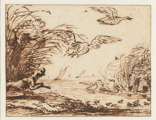 Hond op eendenjacht by Anthonie van Borssom, drawing, 1640-1677