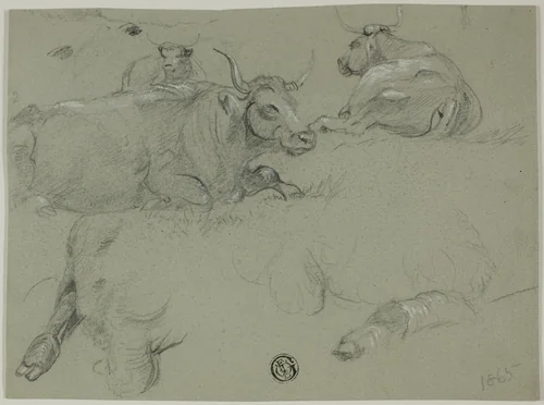 Sketches of Cows by Rosa Bonheur, drawing, 1865-1899