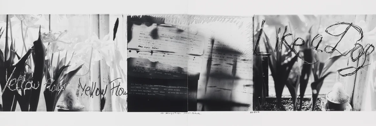 Yellow Flower--Like a Dog by Robert Frank, photograph, 1992