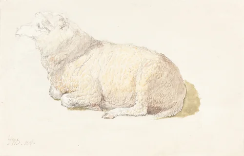 A Sheep Resting by James Ward, drawing, 1800-1810
