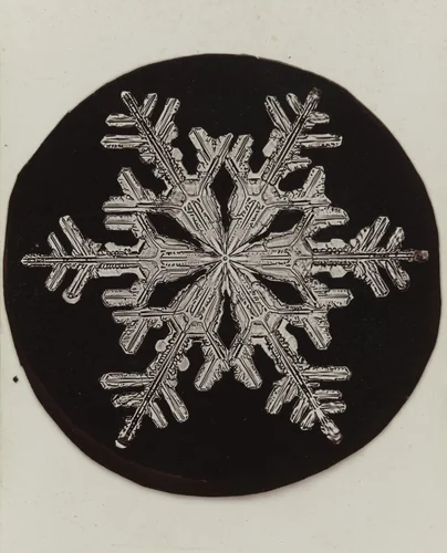 Snowflake by Wilson Bentley, photograph, 1905