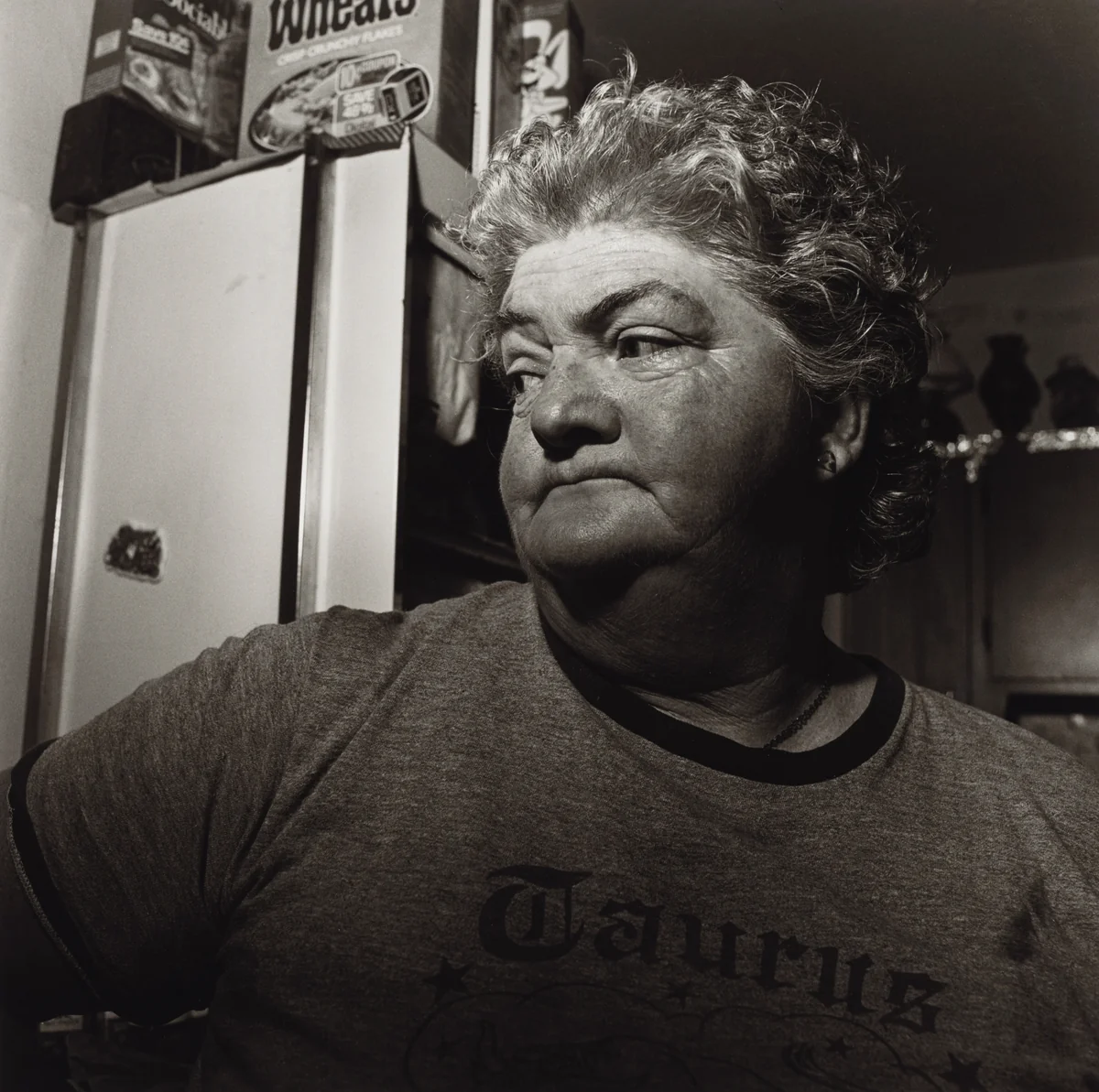 Pat Sabatine's Twelfth Birthday Party, Martins Creek, Pennsylvania by Larry Fink, photograph, 1981