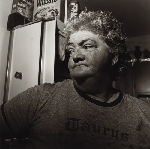 Pat Sabatine's Twelfth Birthday Party, Martins Creek, Pennsylvania by Larry Fink, photograph, 1981
