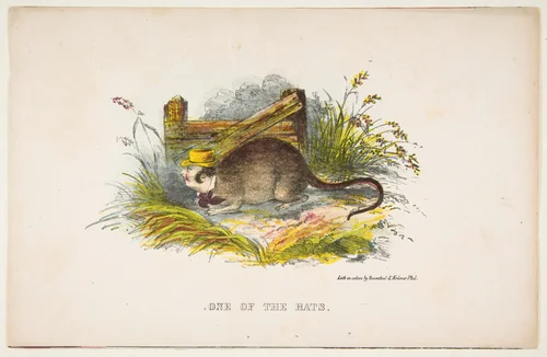 One of the Rats, from "The Comic Natural History of the Human Race" by Henry Louis Stephens, print, 1851