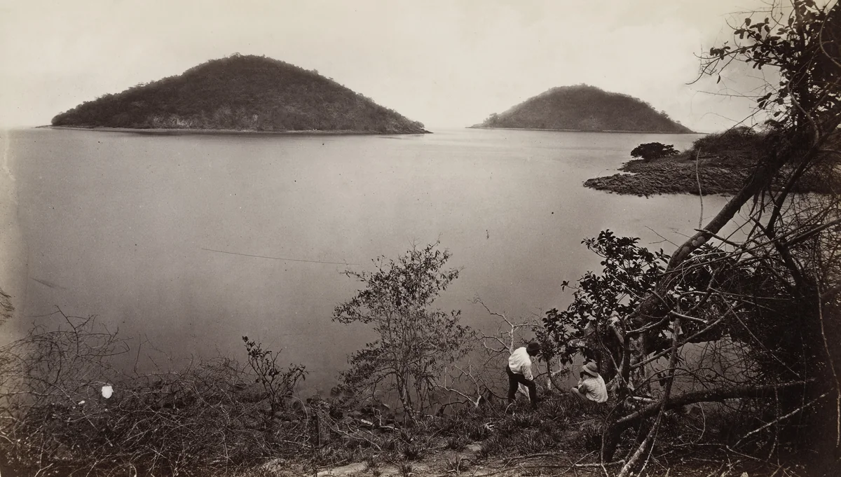 Perico and Flamingo from the Island of Nao by Eadweard Muybridge, photograph, 1875