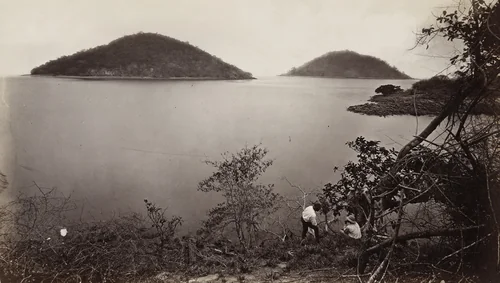 Perico and Flamingo from the Island of Nao by Eadweard Muybridge, photograph, 1875