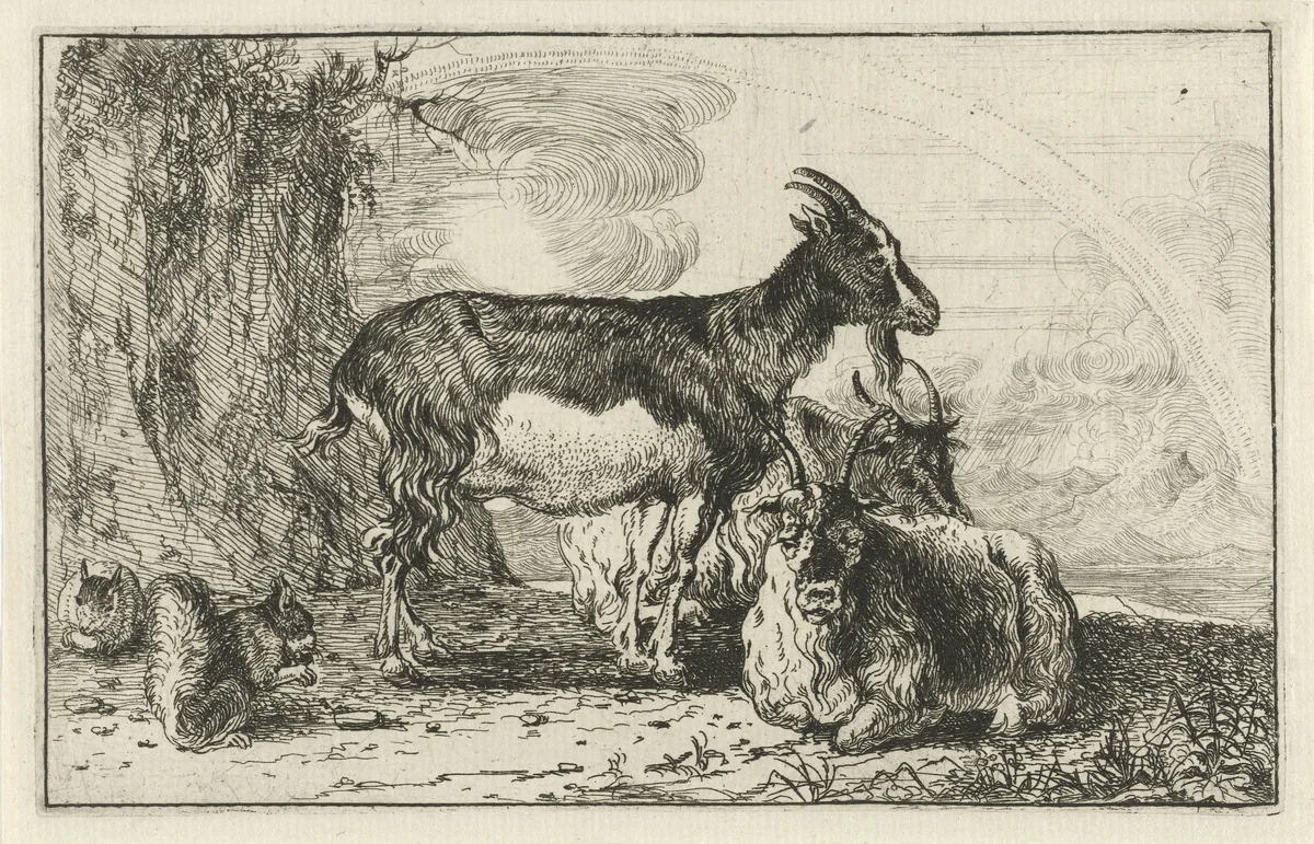 Geiten by Jan van den Hecke, print, 1656