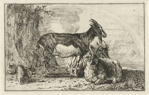 Geiten by Jan van den Hecke, print, 1656