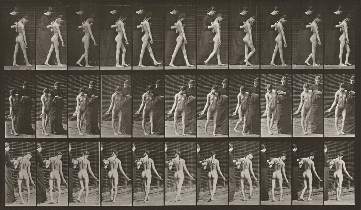 Plate Number 541. Spastic walking by Eadweard Muybridge, photograph, 1887