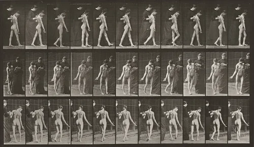 Plate Number 541. Spastic walking by Eadweard Muybridge, photograph, 1887