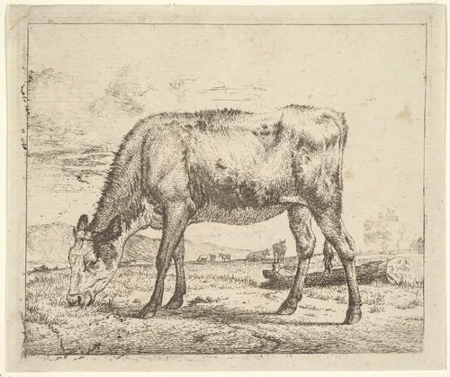 Grazing Calf, plate 8 from "Different Animals" by Adriaen van de Velde, print, 1658