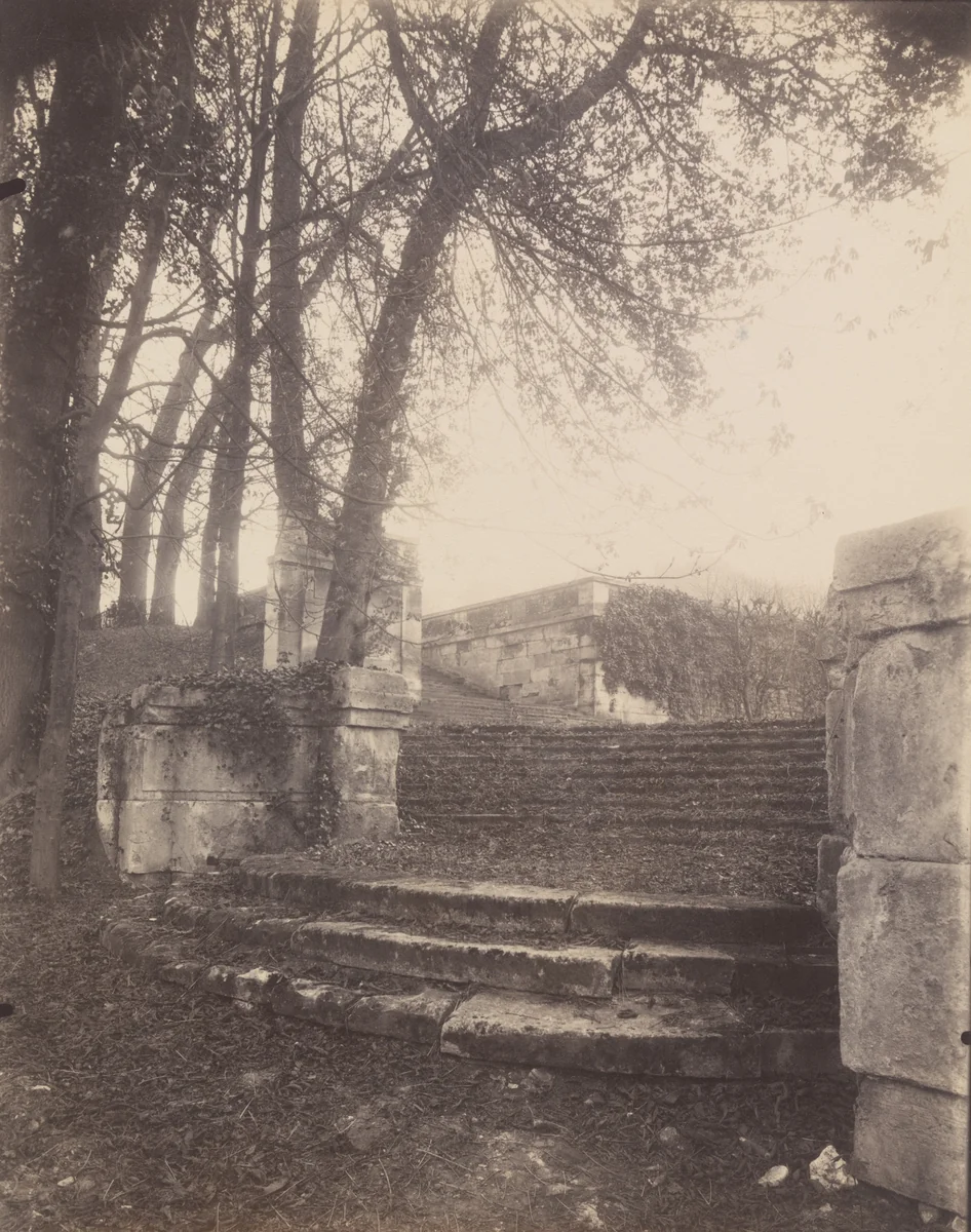 Saint-Cloud by Eugène Atget, photograph, 1924