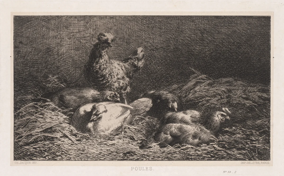 Chickens by Charles-Émile Jacque, print, 1867