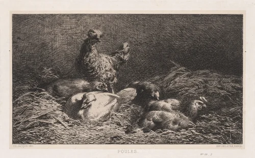 Chickens by Charles-Émile Jacque, print, 1867