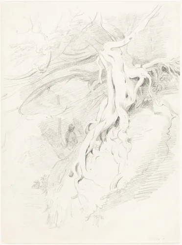 The Yew at Clifton by Thales Fielding, drawing, 1793-1837