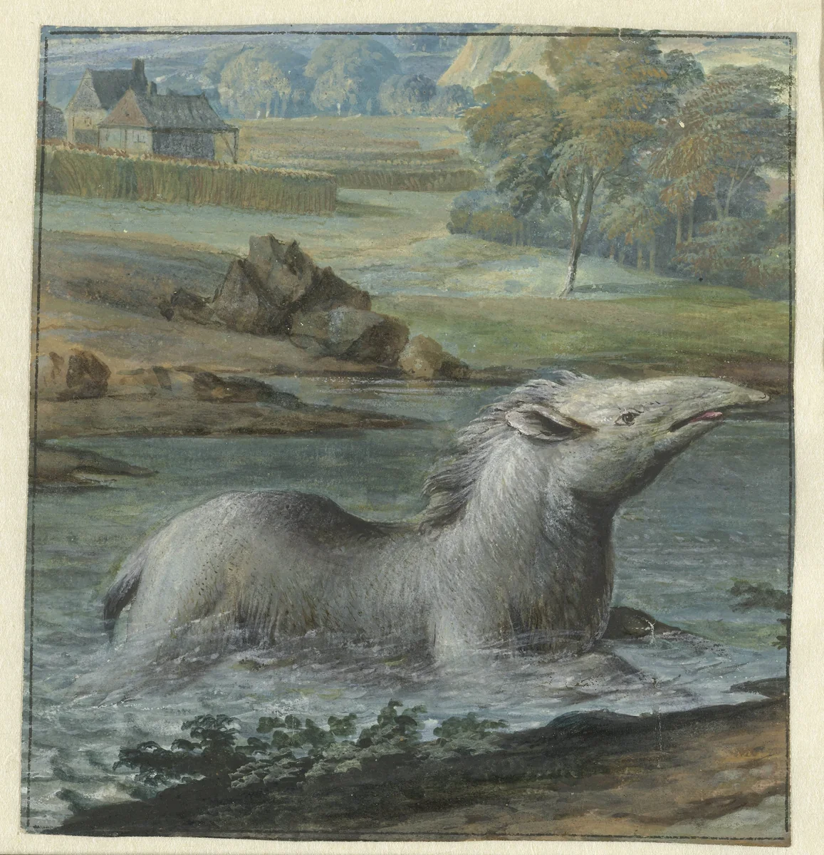Tapir in het water by Willem van Royen, drawing, 1706
