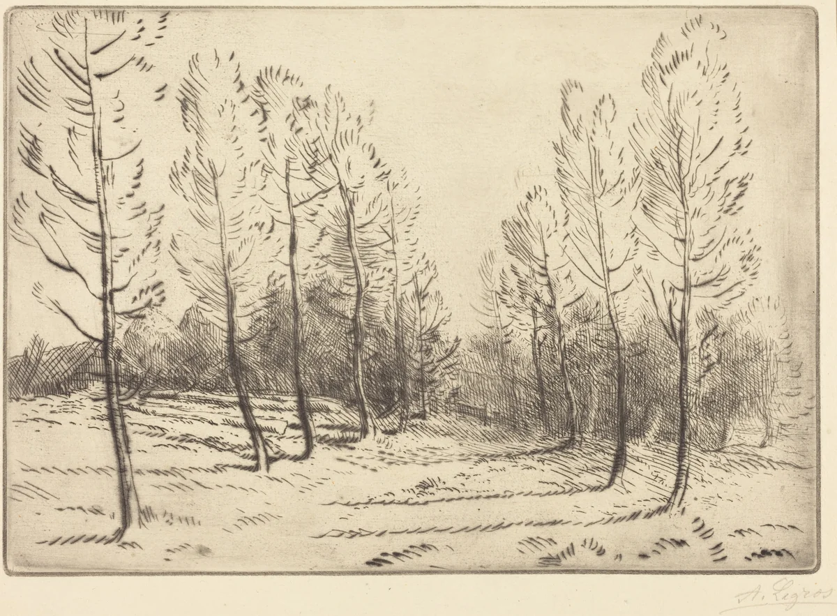 Avenue of Poplars (L'allee de peupliers) by Alphonse Legros, print, 1837-1911