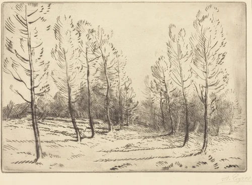 Avenue of Poplars (L'allee de peupliers) by Alphonse Legros, print, 1837-1911