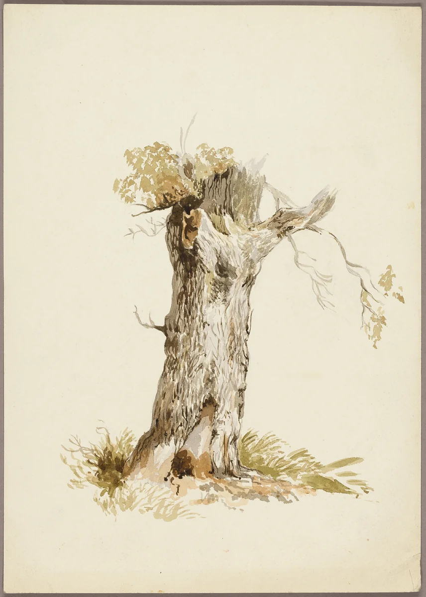 Tree Trunk I by William Callow, painting, 1800-1899