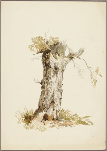 Tree Trunk I by William Callow, painting, 1800-1899