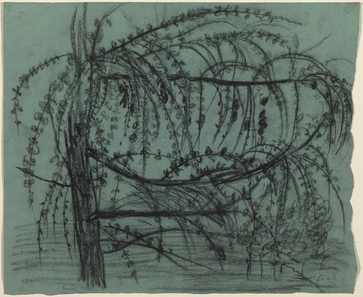 Fruit Tree in Bloom by Paula Modersohn-Becker, drawing, 1900-1902