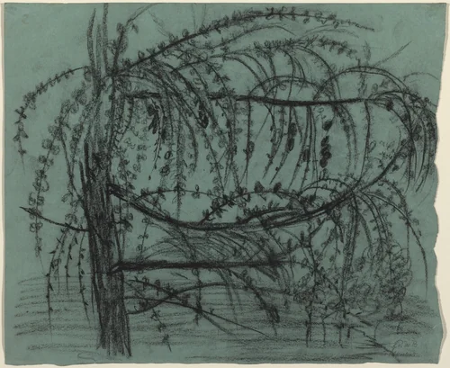 Fruit Tree in Bloom by Paula Modersohn-Becker, drawing, 1900-1902
