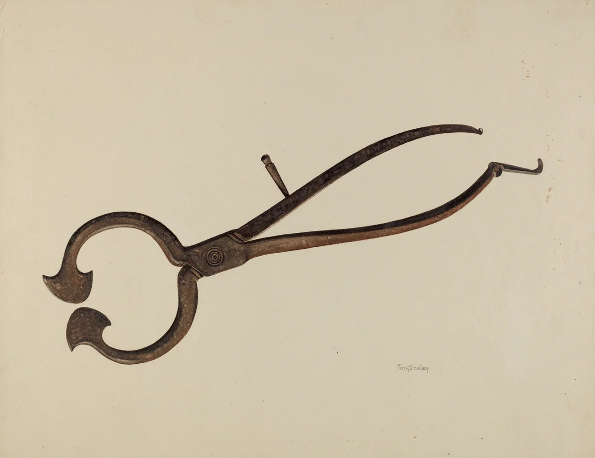 Loaf Sugar Cutter by Thomas Dooley, index of american design, 1942