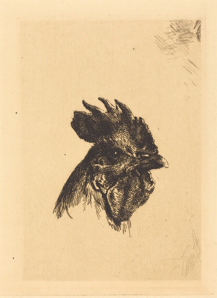 Head of a Cock by Félix Bracquemond, print, 1833-1914