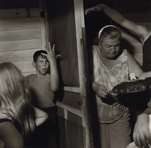 Pat Sabatine's Eighth Birthday Party, Martins Creek, Pennsylvania by Larry Fink, photograph, 1977