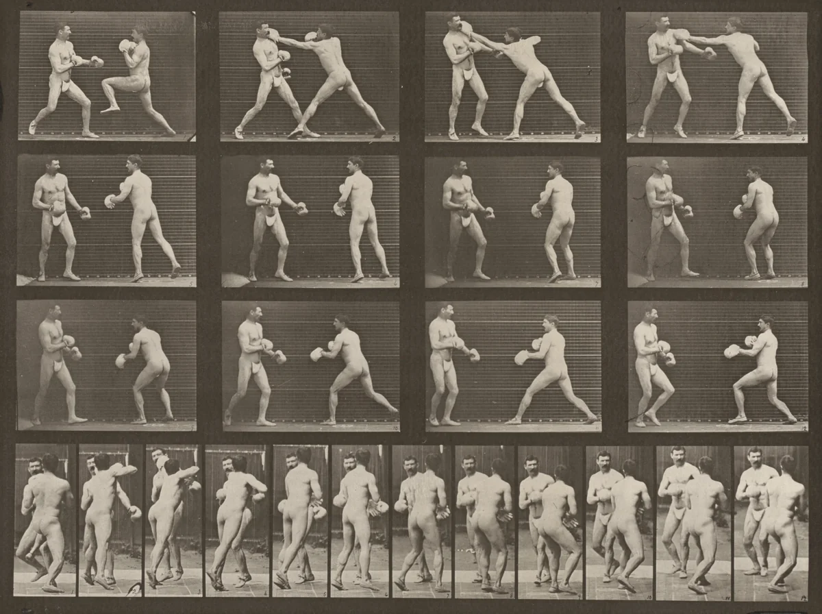 Plate Number 335. Boxing with gloves by Eadweard Muybridge, photograph, 1887