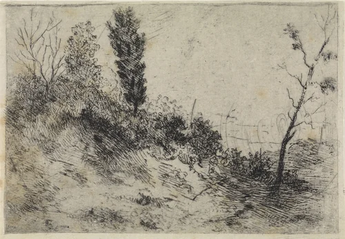 Duinlandschap by Arnoud Schaepkens, print, 1831-1904