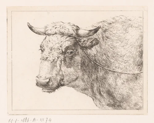 Kop van een koe by Hendrik Willem Schweickhardt, print, 1788
