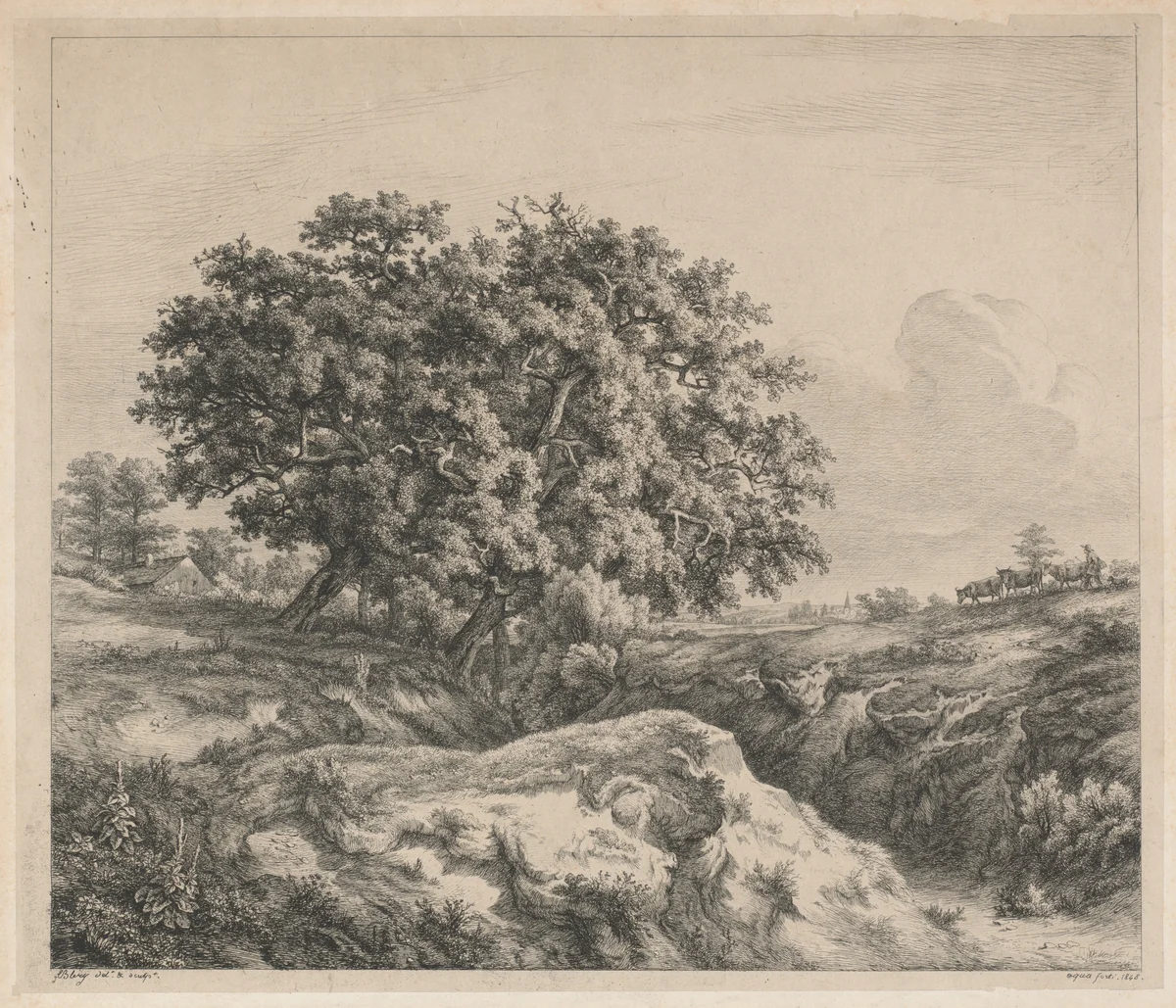Le chêne au ravin (Oak Tree by a Ravine) by Eugène Bléry, print, 1845